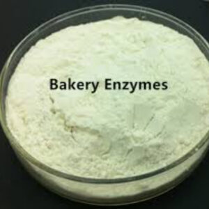Enzymes